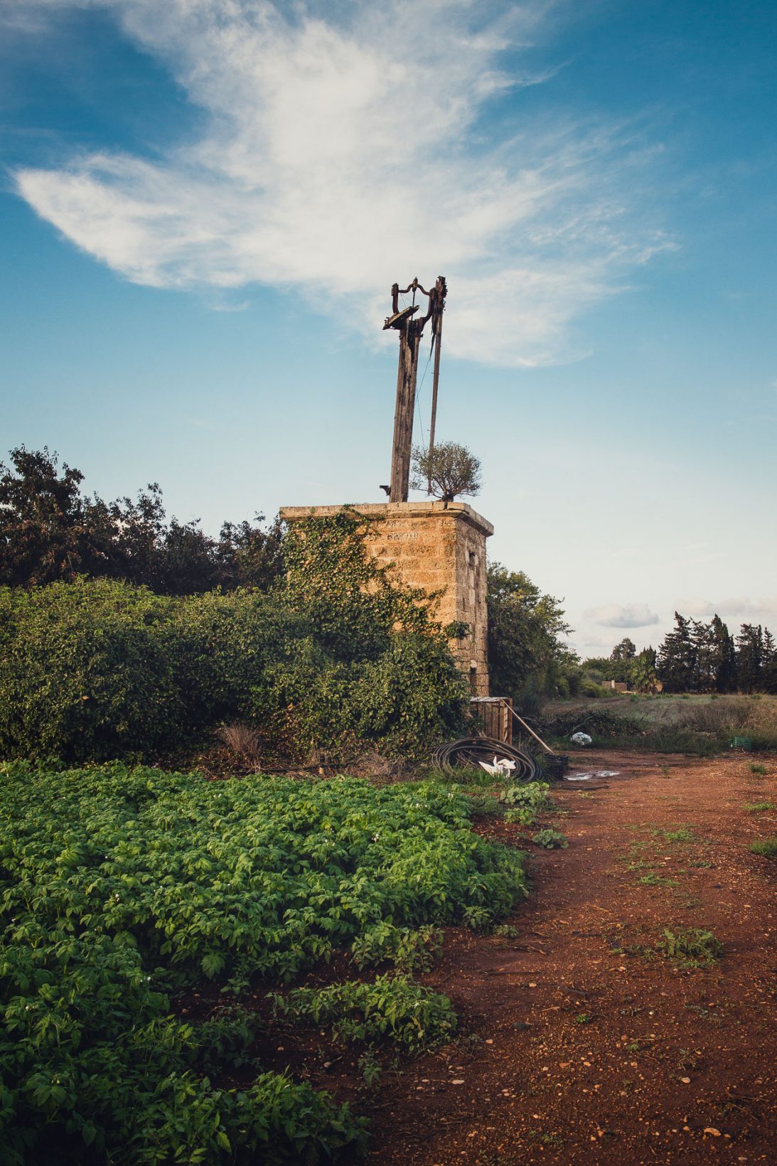 Die toten Windmühlen von Mallorca