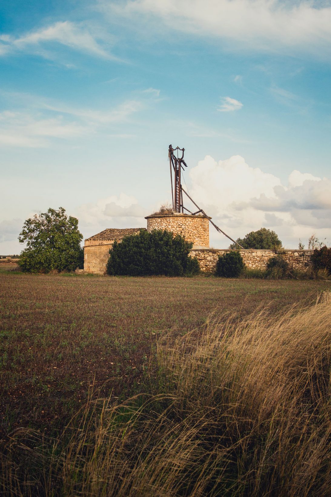 Die toten Windmühlen von Mallorca